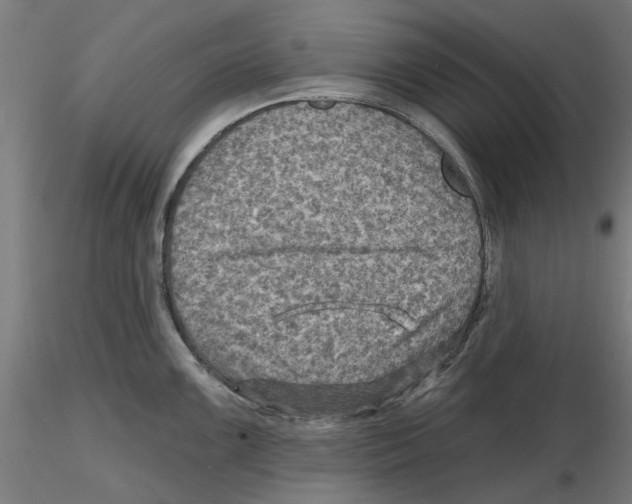 X0000116491099201001061136