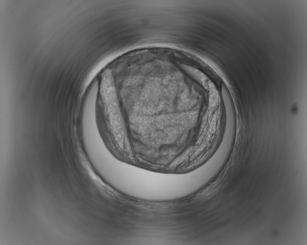 X0000116491101201001061136