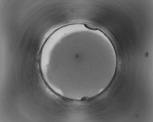 X0000116491102201001061136