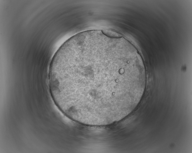 X0000116491103201001061136