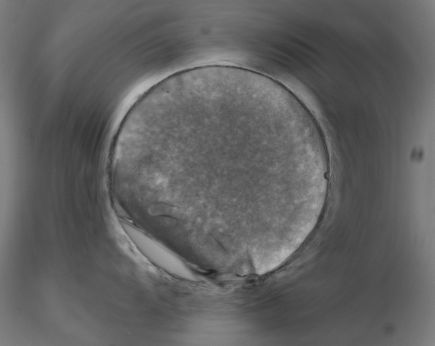 X0000116491104201001061136