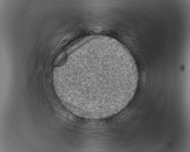 X0000116491105201001061135