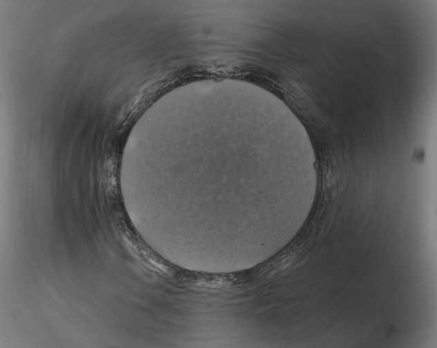 X0000116491106201001061135