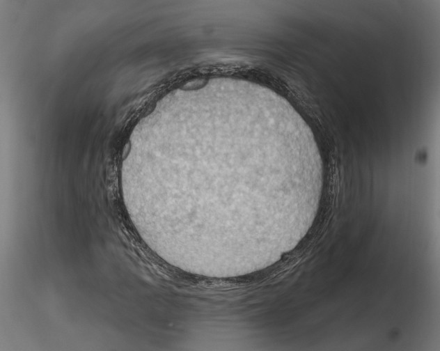 X0000116491109201001061135