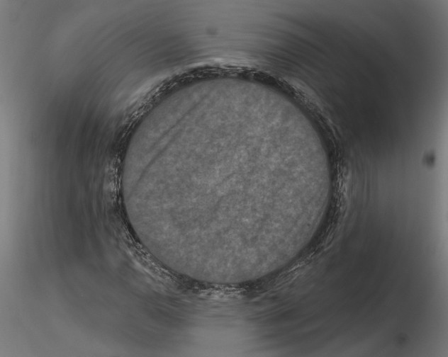 X0000116491110201001061135