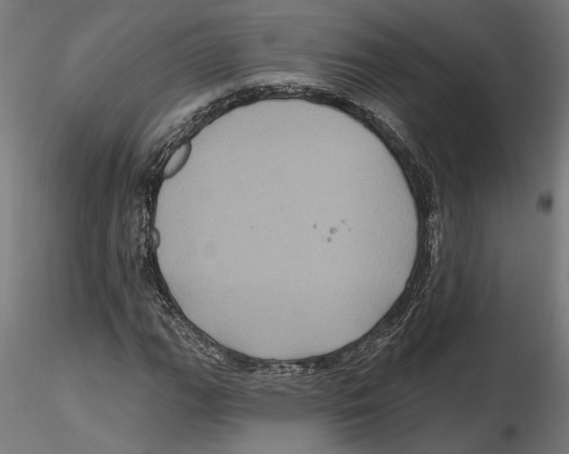 X0000116491111201001061135