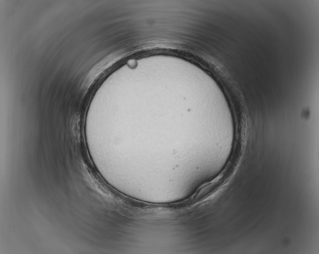 X0000116491113201001061135