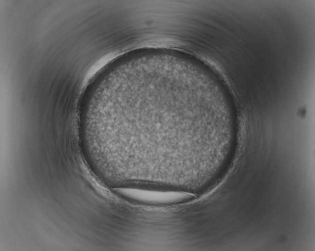 X0000116491114201001061135