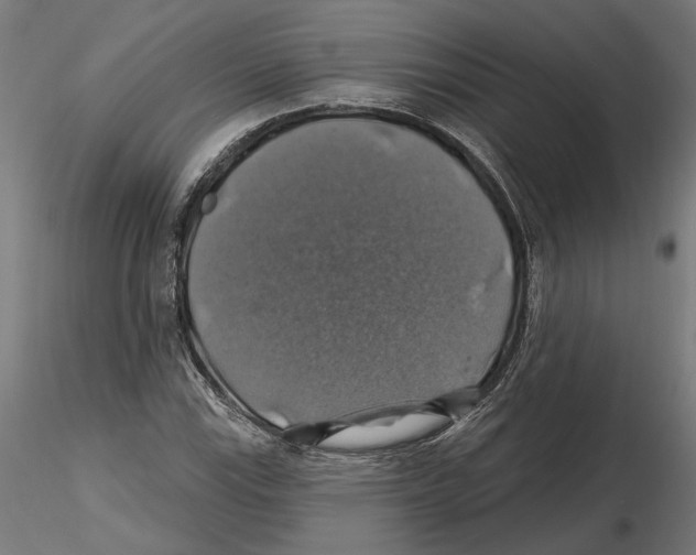 X0000116491115201001061135