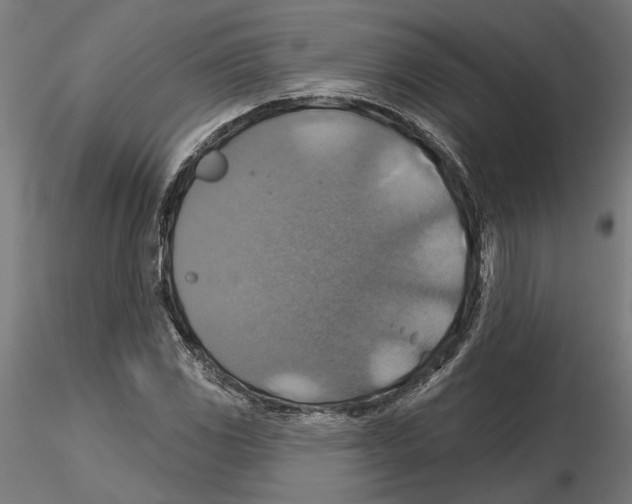 X0000116491117201001061135