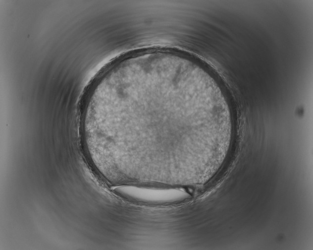 X0000116491118201001061135