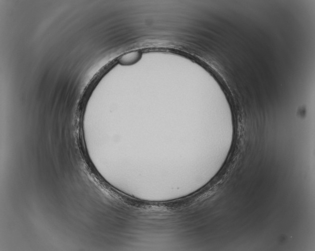 X0000116491119201001061135