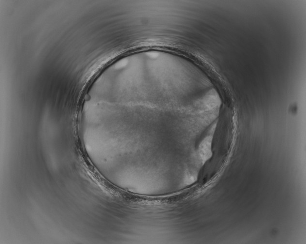 X0000116491121201001061135