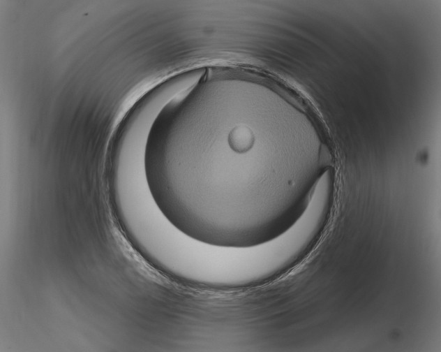 X0000116491122201001061135