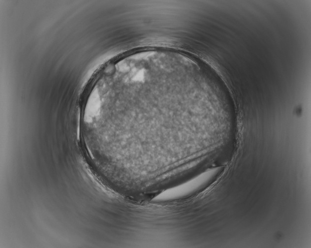 X0000116491123201001061135