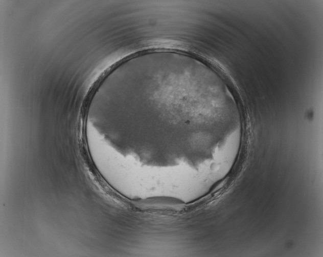 X0000116491125201001061135