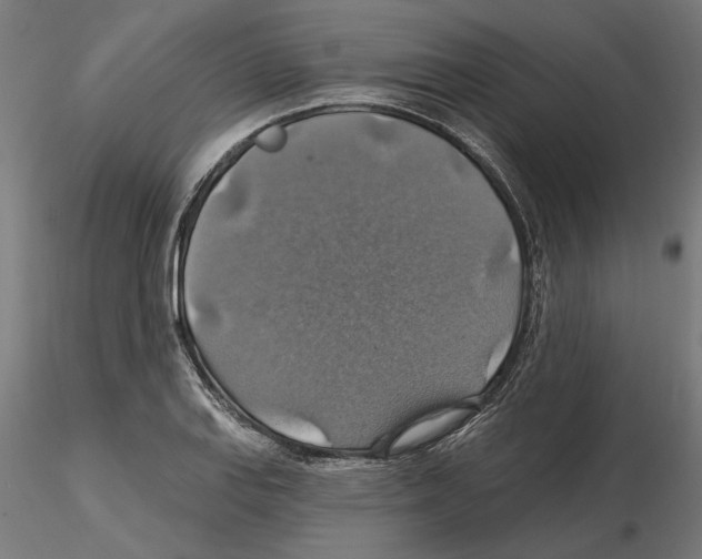 X0000116491127201001061135