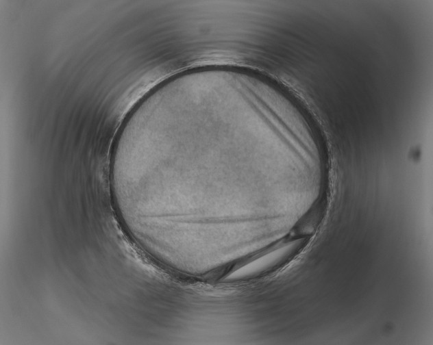 X0000116491129201001061135