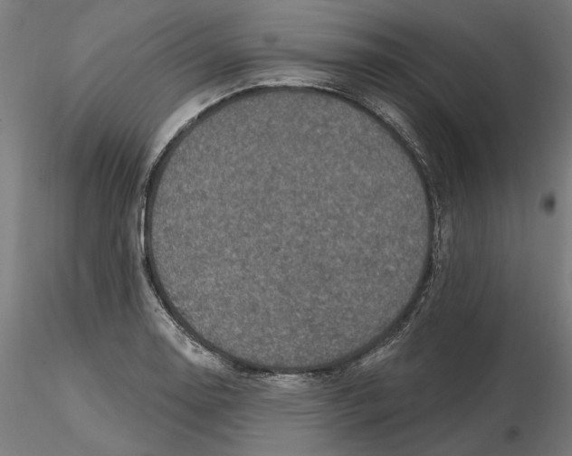 X0000116491130201001061135