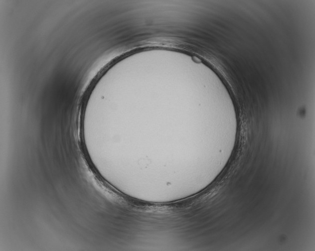 X0000116491131201001061135