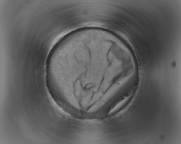 X0000116491133201001061136