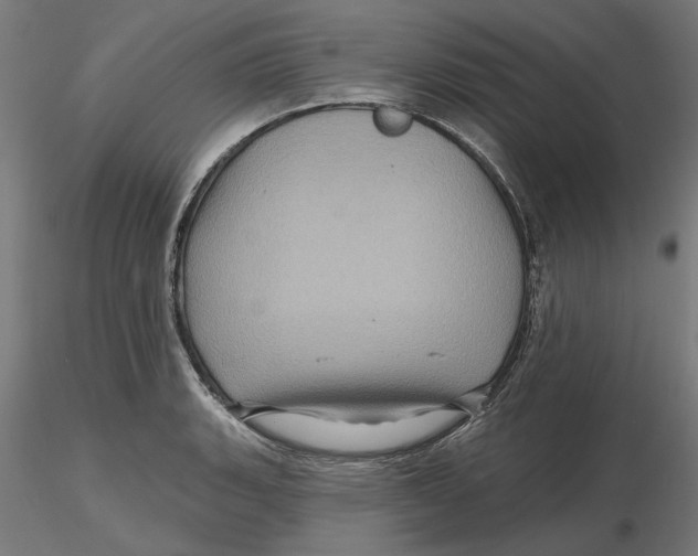 X0000116491135201001061136