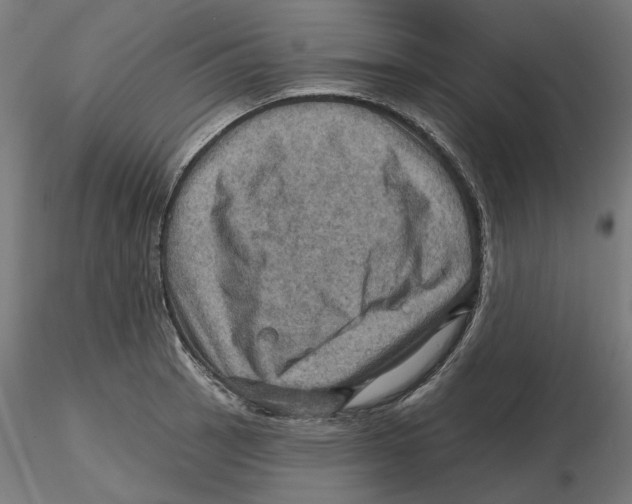 X0000116491137201001061136