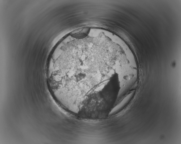 X0000116491141201001061136