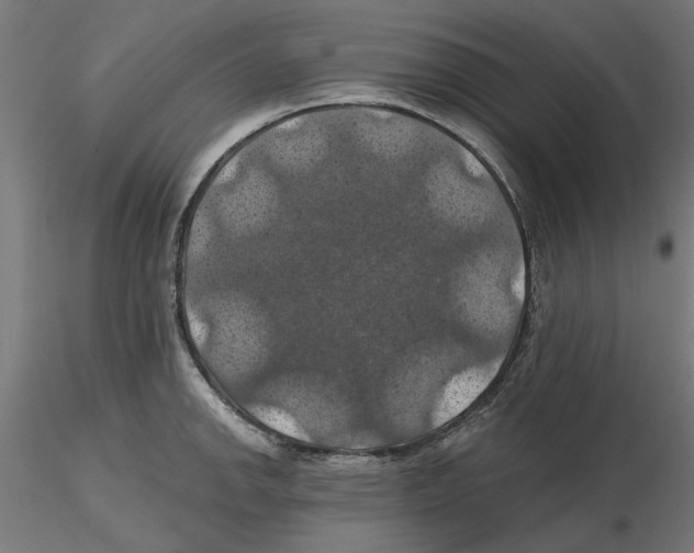 X0000116491142201001061136