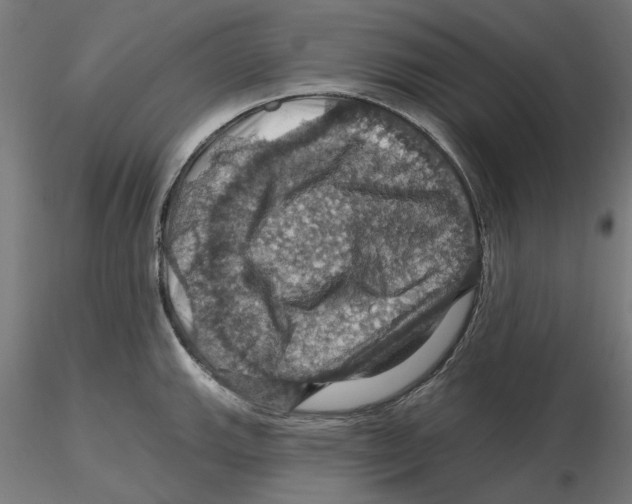 X0000116491143201001061136