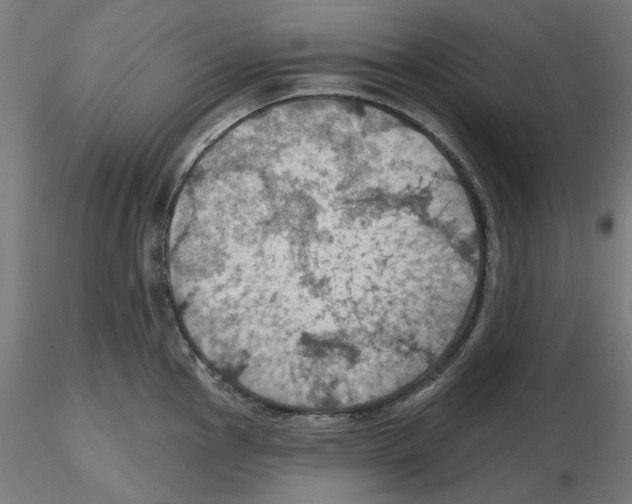 X0000116491145201001061136