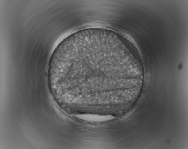 X0000116491146201001061136