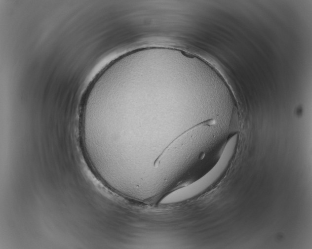 X0000116491147201001061136