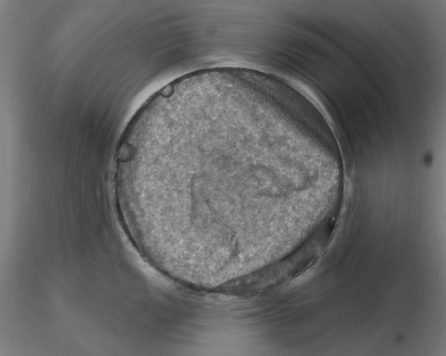 X0000116491149201001061136