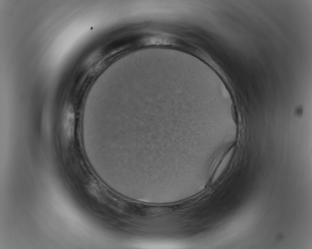 X0000116491151201001061136