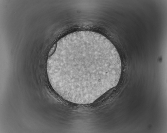 X0000116491153201001061135