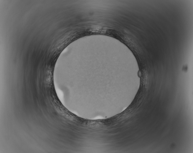 X0000116491154201001061135