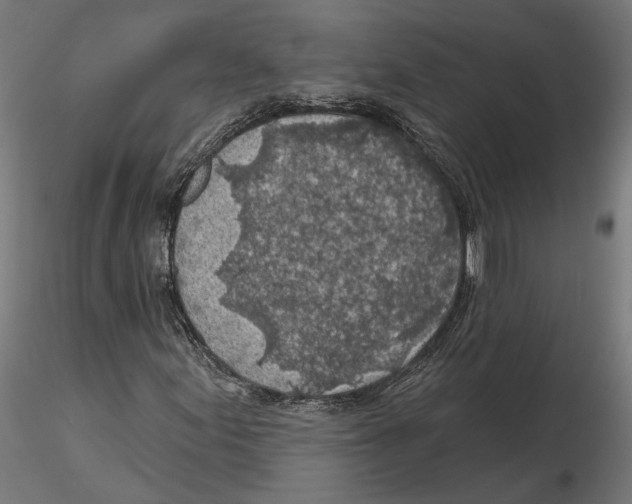 X0000116491155201001061135