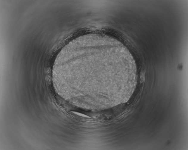 X0000116491156201001061135