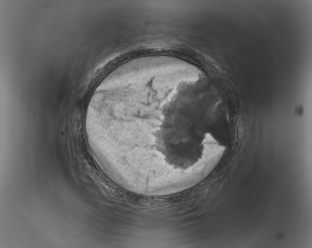 X0000116491158201001061135