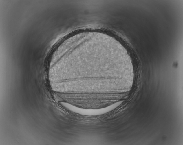 X0000116491160201001061135