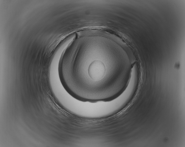 X0000116491161201001061135