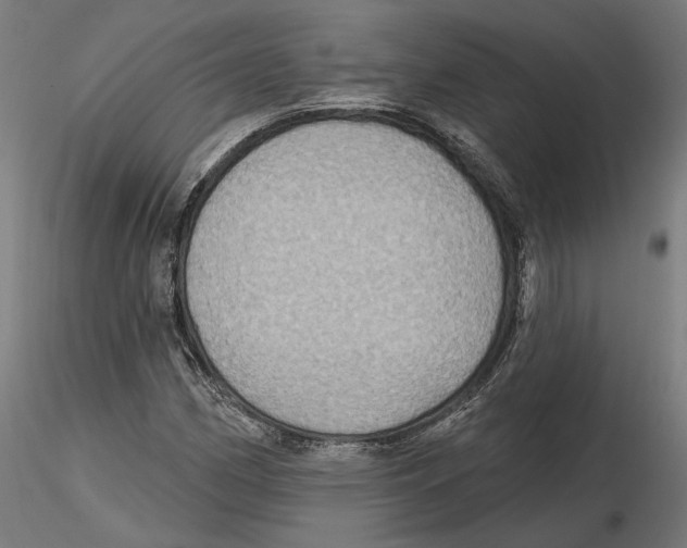 X0000116491162201001061135