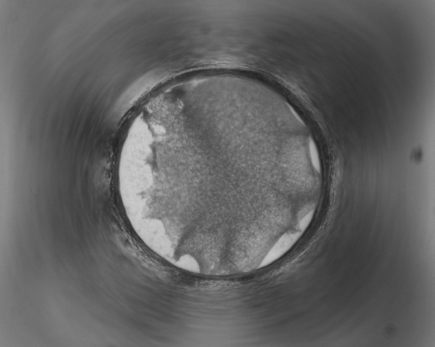 X0000116491163201001061135