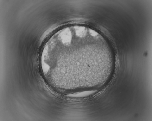 X0000116491164201001061135