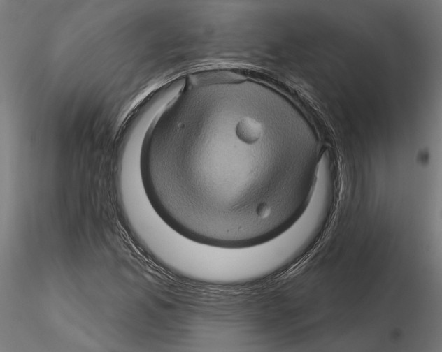 X0000116491165201001061135