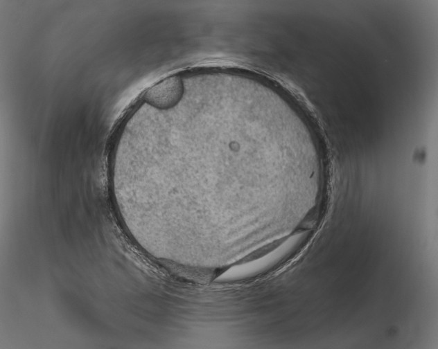 X0000116491167201001061135