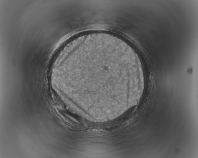 X0000116491168201001061135