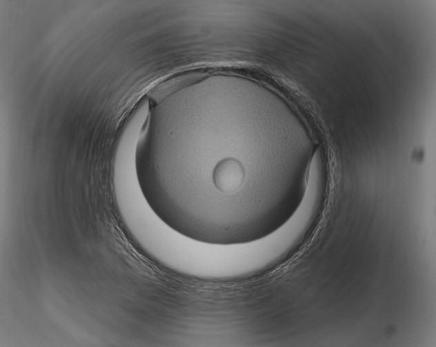 X0000116491169201001061135