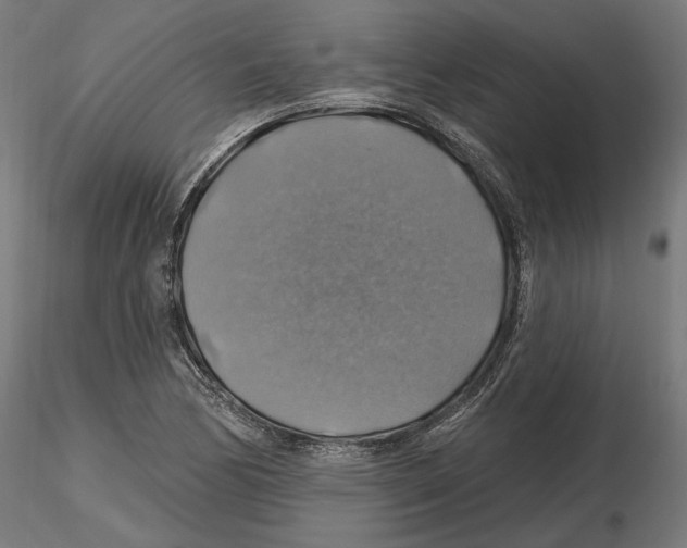 X0000116491170201001061135